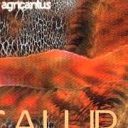 Der musikalische text VIAGGI von AGRICANTUS ist auch in dem Album vorhanden Calura (2002)