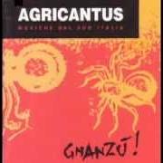 Der musikalische text PICURAREDDU von AGRICANTUS ist auch in dem Album vorhanden Gnanzù
