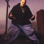 Der musikalische text FLOW JOE von FAT JOE ist auch in dem Album vorhanden Represent (1993)