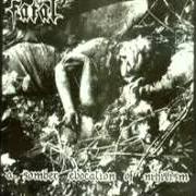 Der musikalische text NO DREAM TO BELIEVE von FATAL ist auch in dem Album vorhanden A somber evocation of nihilism (1990)