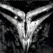 Der musikalische text I WILL FOLLOW von FEAR FACTORY ist auch in dem Album vorhanden Transgression (2005)