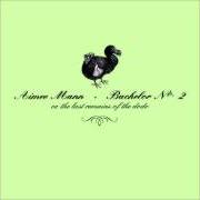 Der musikalische text NOTHING IS GOOD ENOUGH von AIMEE MANN ist auch in dem Album vorhanden Bachelor no. 2 (2000)