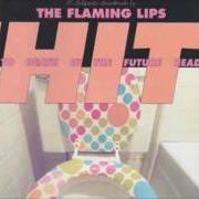 Der musikalische text FROGS von THE FLAMING LIPS ist auch in dem Album vorhanden Hit to death in the future head (1992)
