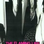 Der musikalische text STAND IN LINE von THE FLAMING LIPS ist auch in dem Album vorhanden In a priest driven ambulance (1990)