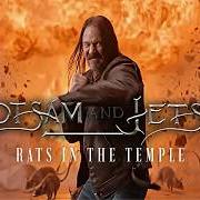 Der musikalische text DAMNATION von FLOTSAM & JETSAM ist auch in dem Album vorhanden Rats in the temple (2026)