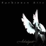 Der musikalische text "I HAVE LED ASTRAY SOME STARS" (ASTRALGEIST) von FORBIDDEN SITE ist auch in dem Album vorhanden Astralgeist (1999)