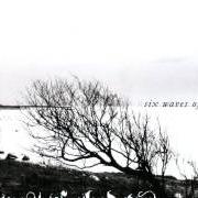 Der musikalische text SELFDESTRUCTIVE von FOREST OF SHADOWS ist auch in dem Album vorhanden Six waves of woe (2008)