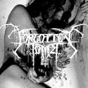 Der musikalische text STEAL MY CORPSE von FORGOTTEN TOMB ist auch in dem Album vorhanden Songs to leave (2002)