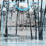 Der musikalische text 128 HARPS von FOUR TET ist auch in dem Album vorhanden Pink (2012)