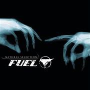 Der musikalische text WON'T BACK DOWN von FUEL ist auch in dem Album vorhanden Natural selection (2003)