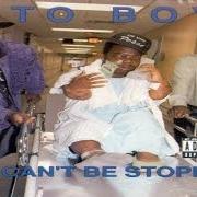 Der musikalische text REBEL RAP FAMILY von GETO BOYS ist auch in dem Album vorhanden We can't be stopped (1991)