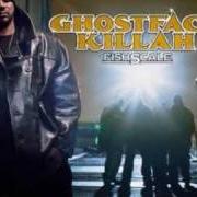 Der musikalische text JELLYFISH von GHOSTFACE KILLAH ist auch in dem Album vorhanden Fishscale (2006)