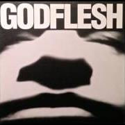 Der musikalische text ICE NERVESHATTER von GODFLESH ist auch in dem Album vorhanden Godflesh (1988)