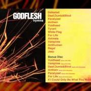 Der musikalische text VOIDHEAD von GODFLESH ist auch in dem Album vorhanden Hymns (2001)