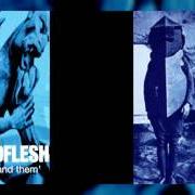 Der musikalische text LIVE TO LOSE von GODFLESH ist auch in dem Album vorhanden Us and them (1999)