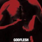 Der musikalische text CURSE US ALL von GODFLESH ist auch in dem Album vorhanden A world lit only by fire (2014)