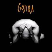 Der musikalische text 19910 QUADRILLIONS DE TONNES von GOJIRA ist auch in dem Album vorhanden Terra incognita (2001)