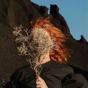 Der musikalische text MOON IN YOUR MOUTH von GOLDFRAPP ist auch in dem Album vorhanden Silver eye (2017)