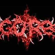 Der musikalische text RECTAL FEAST von GORE ist auch in dem Album vorhanden Necrotic feast (2005)