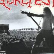 Der musikalische text MENTAL MISERY von GOREFEST ist auch in dem Album vorhanden The eindhoven insanity (1993)