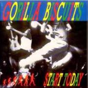 Der musikalische text STAND STILL von GORILLA BISCUITS ist auch in dem Album vorhanden Start today (1989)