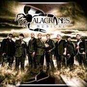 Der musikalische text EL AVIÓN DE LA MUERTE von ALACRANES MUSICAL ist auch in dem Album vorhanden Puros corridos venenosos (2006)