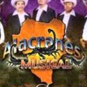 Der musikalische text EL RINCONCITO von ALACRANES MUSICAL ist auch in dem Album vorhanden Famoso durango (2004)