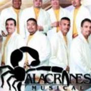 Der musikalische text DE ESTA SIERRA A LA OTRA SIERRA von ALACRANES MUSICAL ist auch in dem Album vorhanden Furia alacranera (2003)