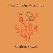 Der musikalische text THANK GOD FOR THE RAIN von GRAHAM COXON ist auch in dem Album vorhanden Crow sit on blood tree (2001)