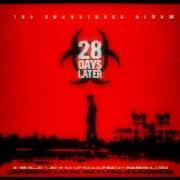 Der musikalische text KOOL von 28 DAYS ist auch in dem Album vorhanden 28 days (1998)