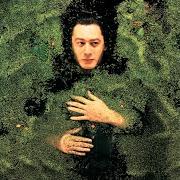 Der musikalische text LA NUIT JE MENS von ALAIN BASHUNG ist auch in dem Album vorhanden Fantaisie militaire (1998)