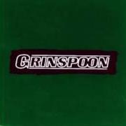 Der musikalische text POINT OF VIEW von GRINSPOON ist auch in dem Album vorhanden Green ep (1995)