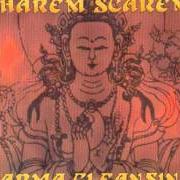 Der musikalische text RAIN von HAREM SCAREM ist auch in dem Album vorhanden Karma cleansing (1997)