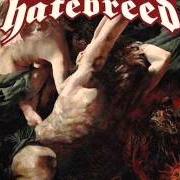 Der musikalische text HONOR NEVER DIES von HATEBREED ist auch in dem Album vorhanden The divinity of purpose (2013)