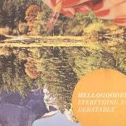 Der musikalische text I DON'T WORRY (AS MUCH AS I SHOULD) von HELLOGOODBYE ist auch in dem Album vorhanden Everything is debatable (2013)