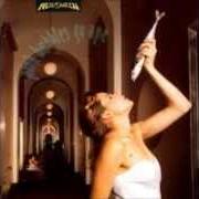 Der musikalische text HEAVY METAL HAMSTERS von HELLOWEEN ist auch in dem Album vorhanden Pink bubbles go ape (1991)