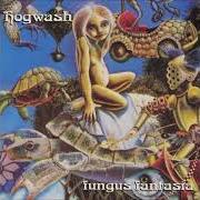 Der musikalische text WILLIE THE REBEL von HOGWASH ist auch in dem Album vorhanden Fungus fantasia (1997)