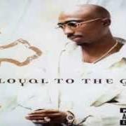 Der musikalische text THUG 4 LIFE von 2PAC ist auch in dem Album vorhanden Loyal to the game (2004)