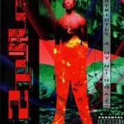 Der musikalische text GUESS WHO'S BACK von 2PAC ist auch in dem Album vorhanden Strictly 4 my n.I.G.G.A.Z. (1993)