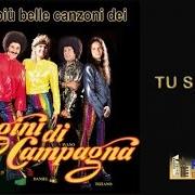 Der musikalische text DONNA von CUGINI DI CAMPAGNA ist auch in dem Album vorhanden Tu sei tu (1977)