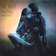 Buried silence Buried silence