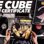 Der musikalische text A BIRD IN THE HAND von ICE CUBE ist auch in dem Album vorhanden Death certificate (1991)