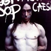 Der musikalische text LOUIE LOUIE von IGGY POP ist auch in dem Album vorhanden American caesar (1993)