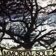 Der musikalische text YOU von IMMORTAL SOULS ist auch in dem Album vorhanden Ice upon the night (2003)