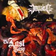 Der musikalische text DAWN OF THE DREAD von IMPALED ist auch in dem Album vorhanden The last grasp (2007)