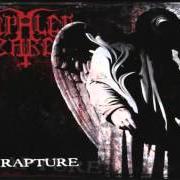 Der musikalische text NUCLEAR METAL RETALIATION von IMPALED NAZARENE ist auch in dem Album vorhanden Rapture (1998)