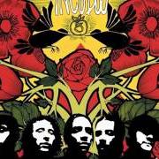 Der musikalische text AGORAPHOBIA von INCUBUS ist auch in dem Album vorhanden A crow left of the murder (2004)