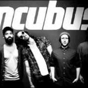 Der musikalische text DANCE LIKE YOU'RE DUMB von INCUBUS ist auch in dem Album vorhanden Trust fall (side a) (2015)