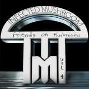 Der musikalische text WHERE DO I BELONG von INFECTED MUSHROOM ist auch in dem Album vorhanden Friends on mushrooms, vol. 1 (2013)