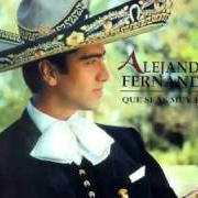 Der musikalische text SE ME VAN LAS GANAS von ALEJANDRO FERNÁNDEZ ist auch in dem Album vorhanden Alejandro fernandez (1992)